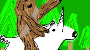 Words From the Wookie