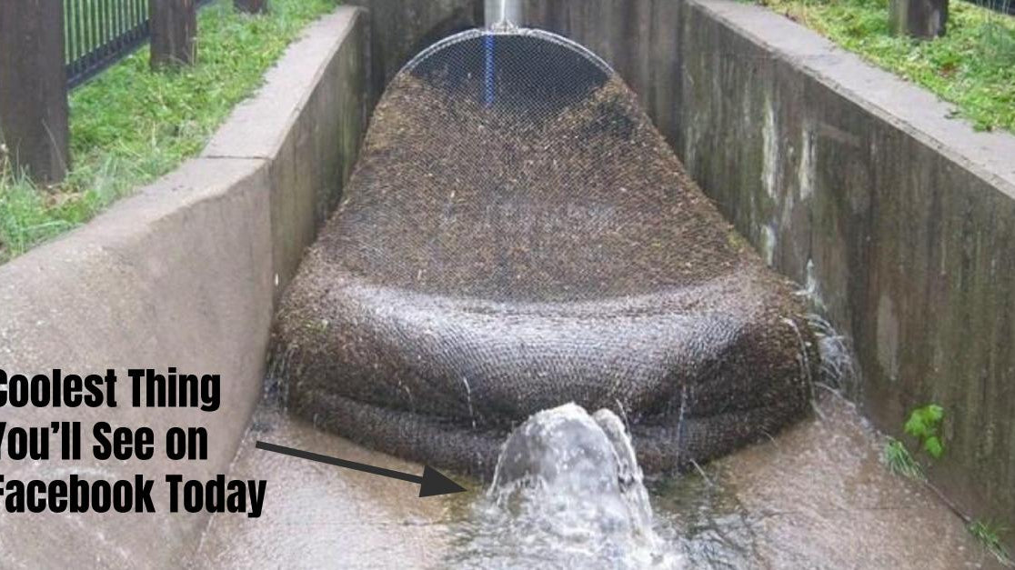 Combat Flip Flops City of Kwinana Drainage Nets to collect pollution