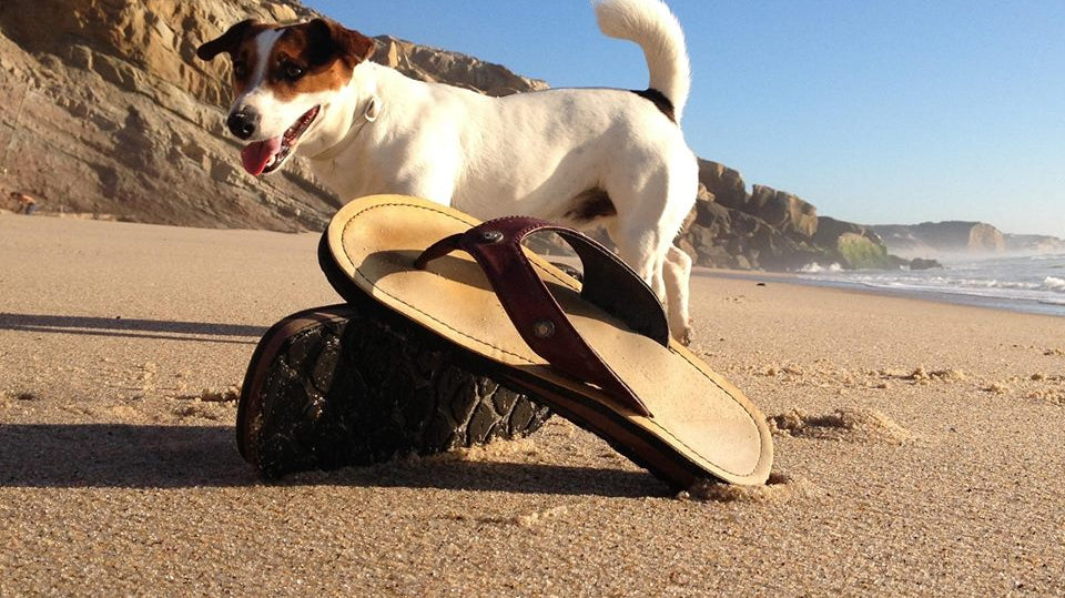 Combat Flip Flops Mixtape Monday 8-14-17 Featured Image