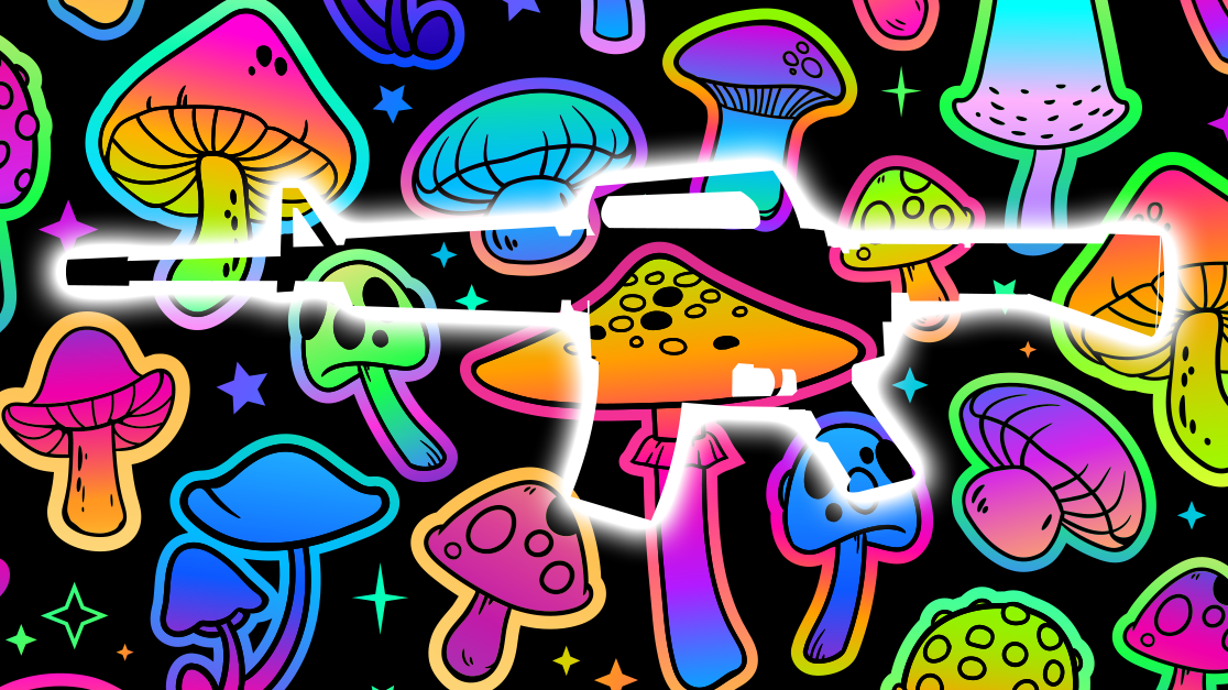 Combat Flip Flops Psilocybin and Guns