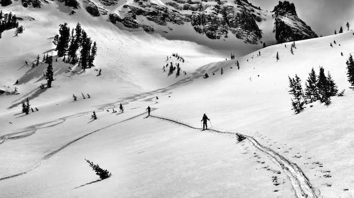 Climate Recon: Grizzly Habitat and Powder Skiing Workshop