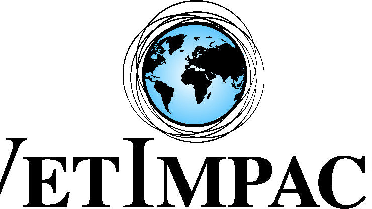 Pitch for Peace Creation