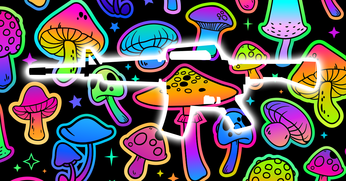 Combat Flip Flops Psilocybin and Guns